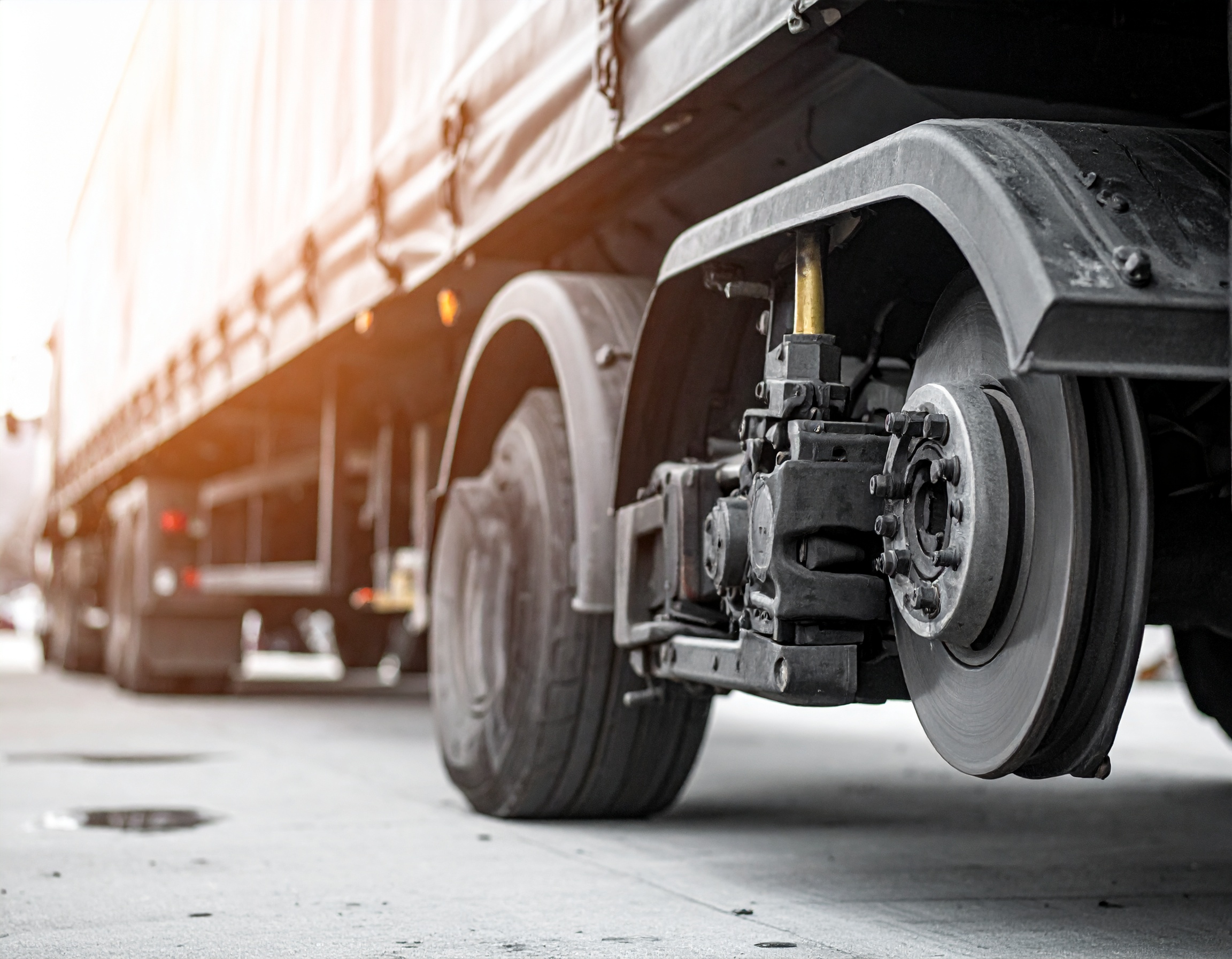 map[class:absolute inset-0 z-0 h-full w-full object-cover opacity-20 src:images/cta.jpg]